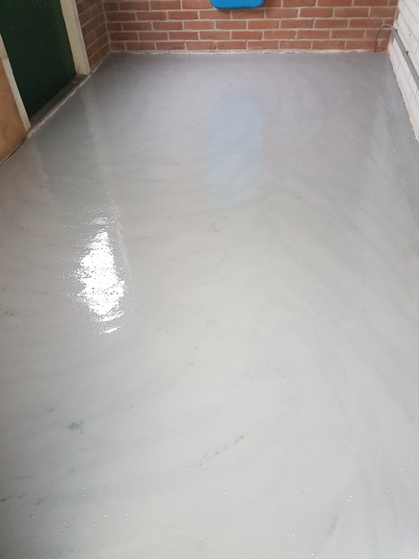 20170629_113414 20170629_113414