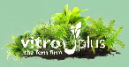 VitroPlus VitroPlus