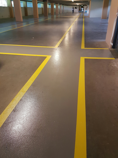 20170728_125524_resized 20170728_125524_resized