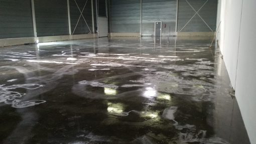 Image00165 Image00165