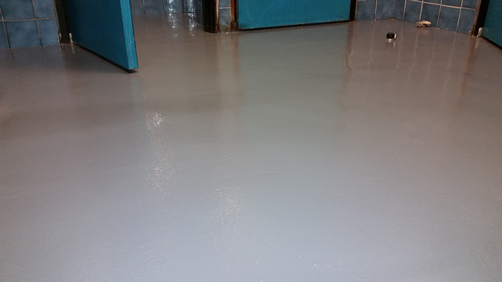 20170116_113447 20170116_113447