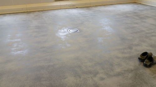 Image00056 Image00056