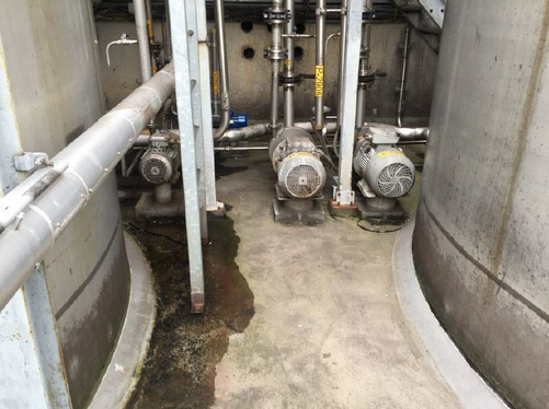 Image00125 Image00125