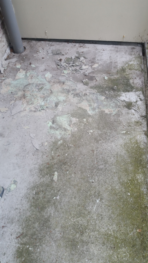 Westerpark in Amsterdam